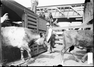 Explore Chicago Collection - Chicago History Museum